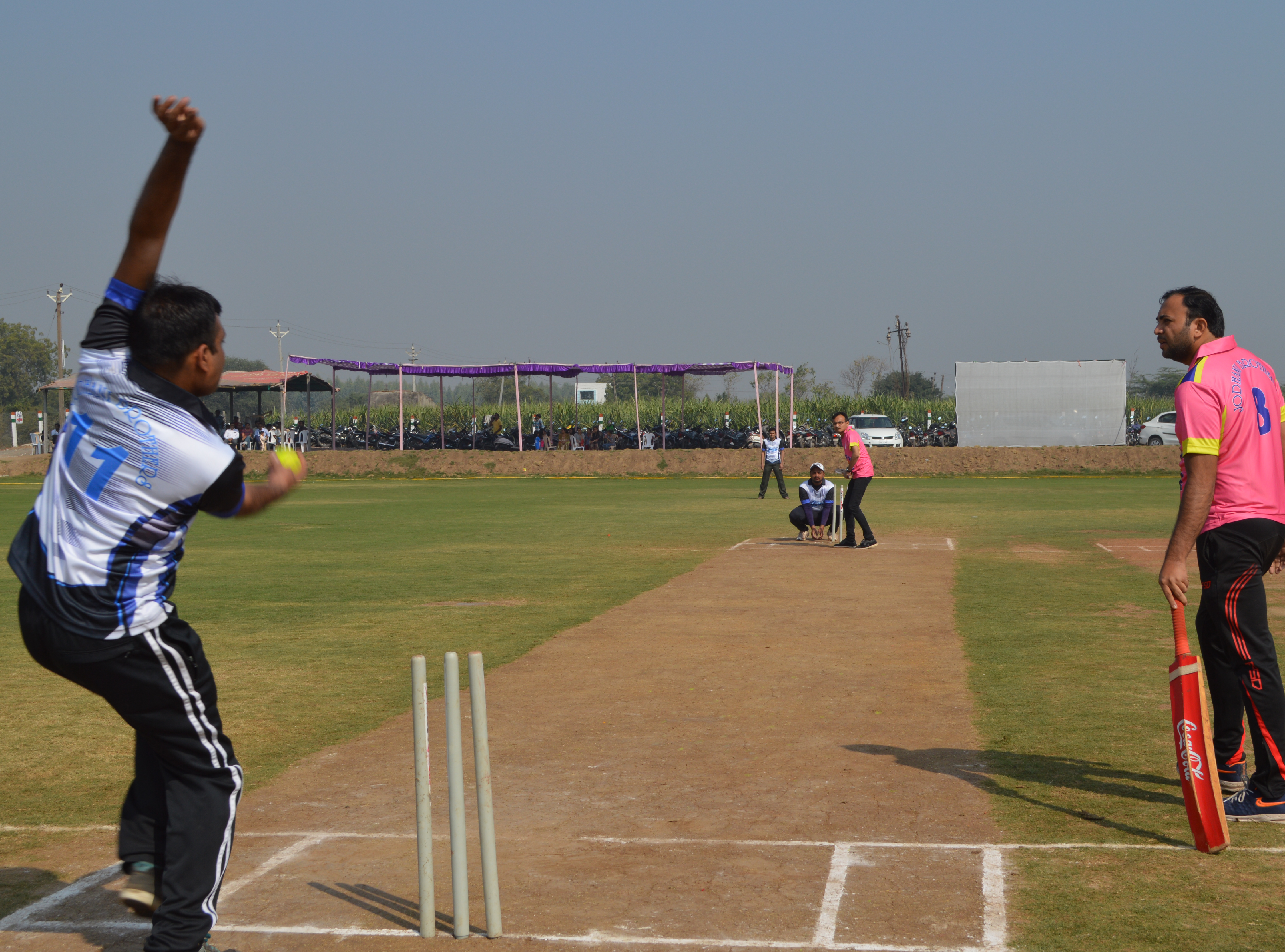 Cricket